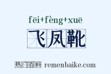 飞凤靴是什么意思的图片